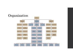 [Organization]