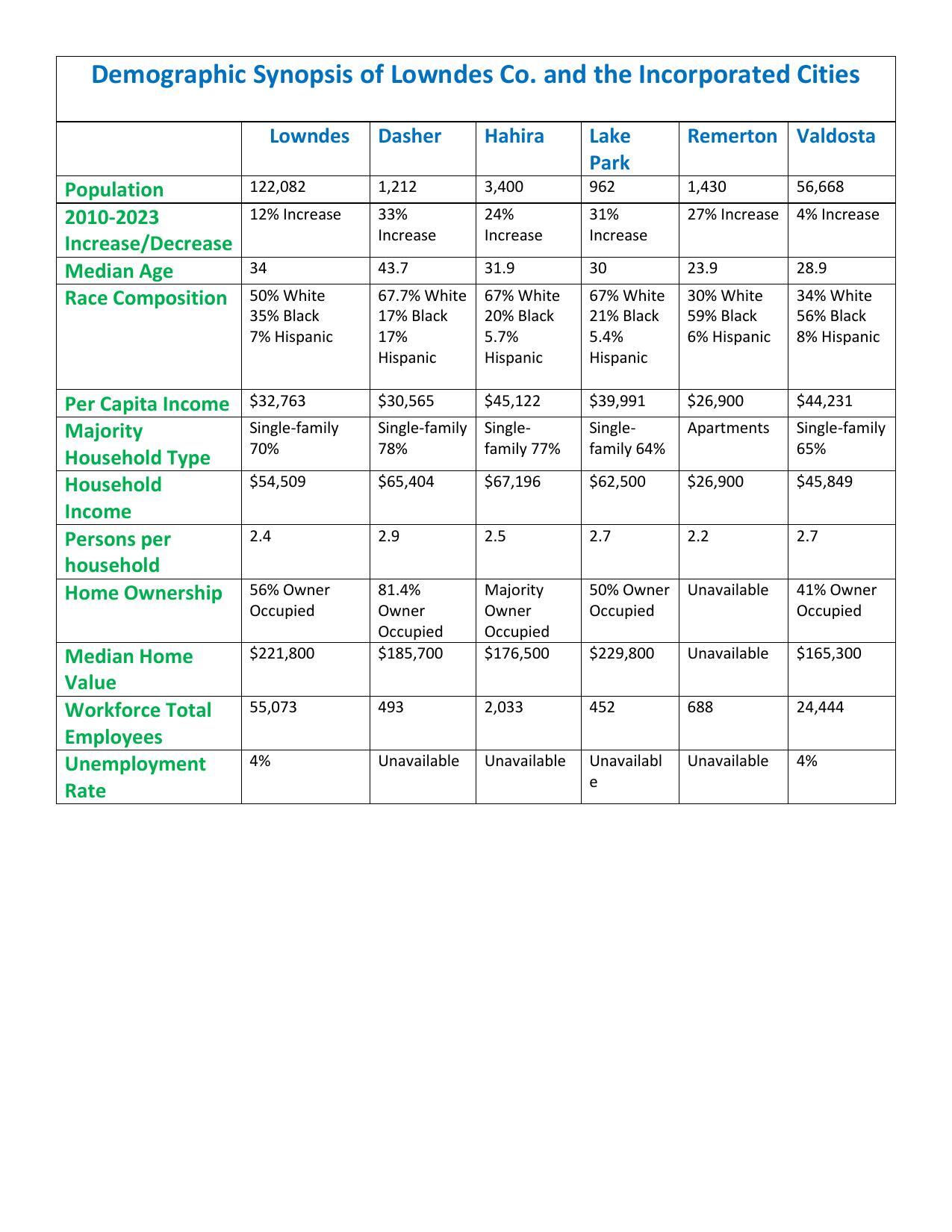 Lowndes Demographic Chart1