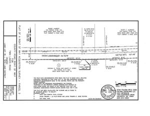 [Survey: VIRGINIA G. TYSON AND NANCY G. HOBBY (3 of 4)]