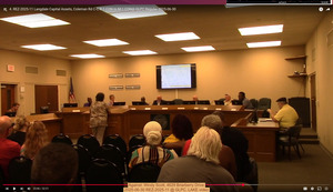 [Against: Windy Scott, 4629 Briarberry Drive, 2025-06-30 REZ-2025-11 @ GLPC, LAKE video]