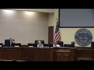 [8. Reports - County Manager - wear purple tomorrow]