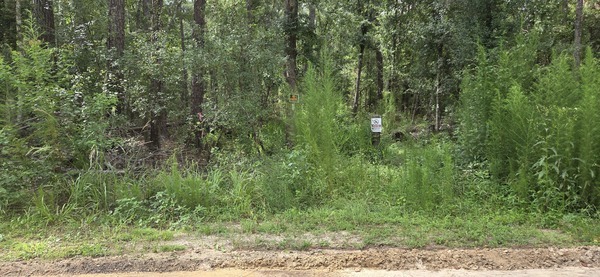 [Verizon Tower Premises survey marker next to Langdale Park White Trail A, 2026-07-13 --jsq for LAKE]