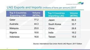 [LNG Exports and Imports (millions of tons per annum) 2017]