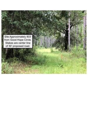 [4 Site Approximately 803’ from Good Hope Circle. Stakes are center line of 30’ proposed road.]