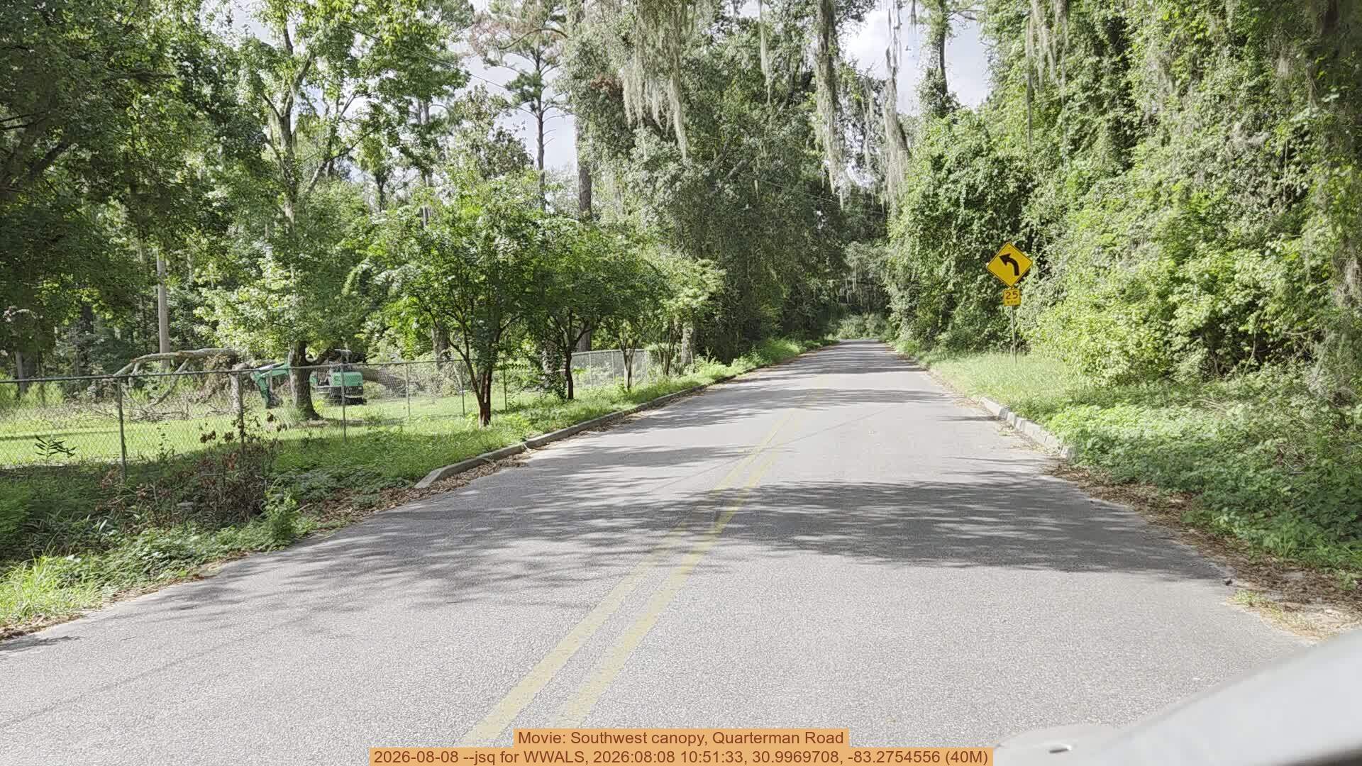 Movie: Southwest canopy, Quarterman Road, 2026-08-08 --jsq for WWALS, 2026:08:08 10:51:33, 30.9969708, -83.2754556 (40M)