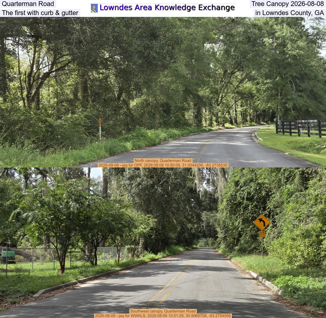 Quarterman Road Tree Canopy 2026-08-08, The first with curb & gutter in Lowndes County, GA