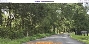 [Quarterman Road Tree Canopy 2026-08-08, The first with curb & gutter in Lowndes County, GA]