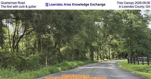 [Quarterman Road Tree Canopy 2026-08-08, The first with curb & gutter in Lowndes County, GA]