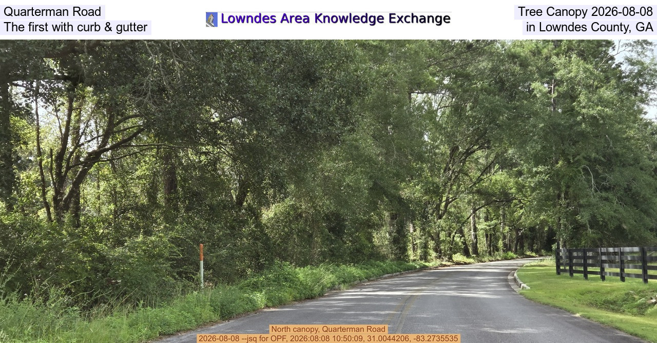 Quarterman Road Tree Canopy 2026-08-08, The first with curb & gutter in Lowndes County, GA